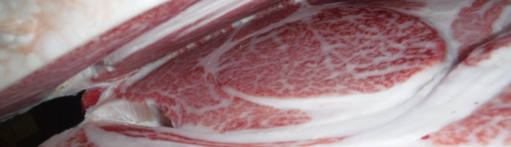 ワルナスビ駆除 株式会社 ぜんちく那須山麓牧場